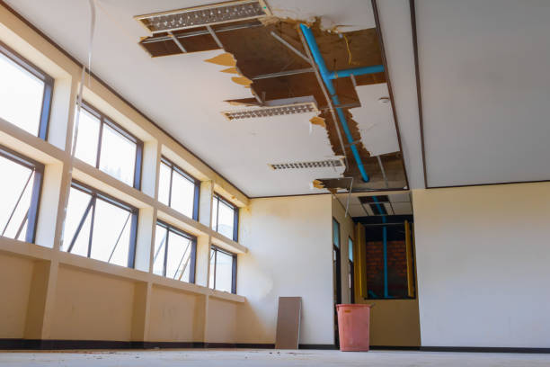 Best Flooded house restoration  in New Cassel, NY