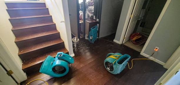Best Flooded house restoration  in New Cassel, NY