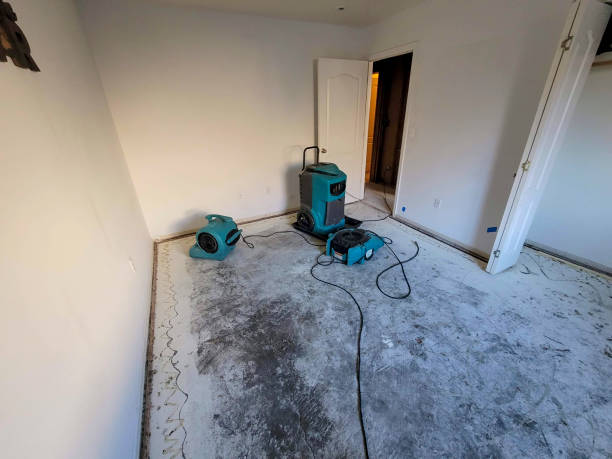 Best Local water damage restoration  in New Cassel, NY